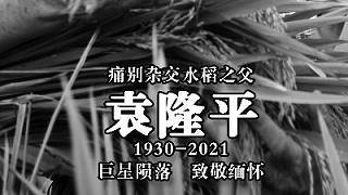 国士无双，缅怀袁隆平